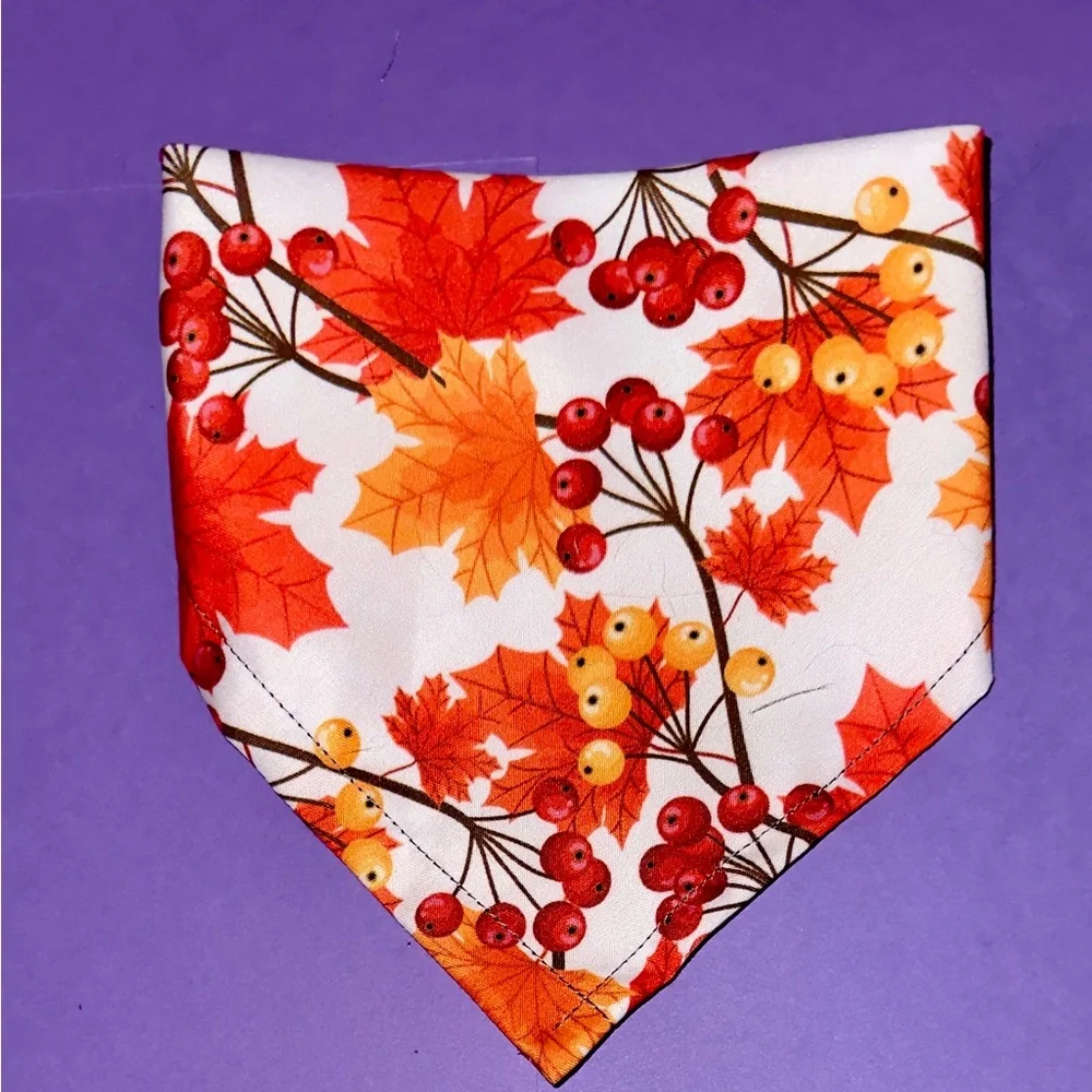 Van Gogh Inspired Dog Bandana with Cat Design